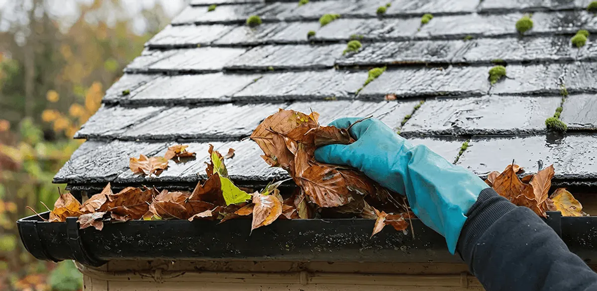 Gutter cleaning technician clearing wet leaves from roof gutters in Charlotte, NC
